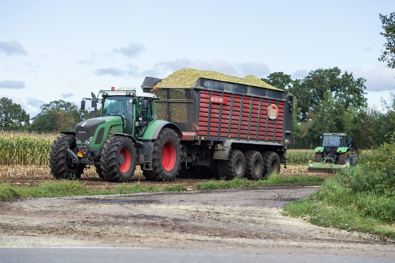 Bild 151 - Maisernte